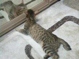 ,     ,   -12 ,     ,   ,      ,    ,   