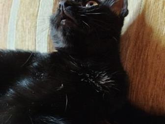 , , ,  , - -    ,     ,  