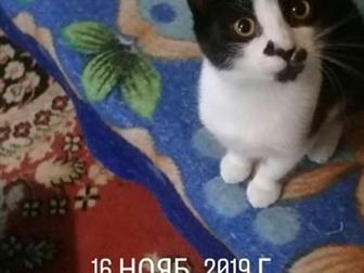  ,    !!!!,   , , , , , , , ,            !!!!!,  