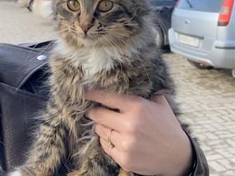       ,  3-3,5,    ,   ,        ??  