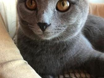  -   !  7 ,    )     !        