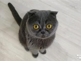          ,   ,  ,     )  