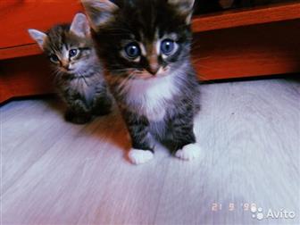1,5,        