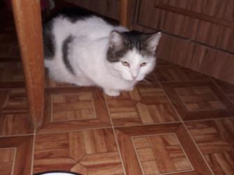 ,  3 ,  ,    ,  