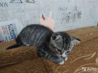   (  )   !  2 ,   ,  !  ,   !  