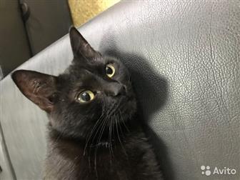    ,    , ,    !       !   ,   ! ,  