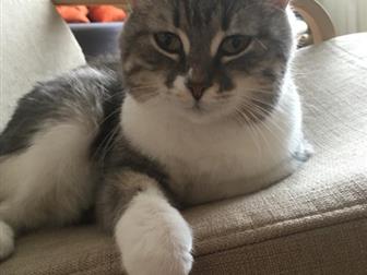  ,   :)) , ,      ,    ,        