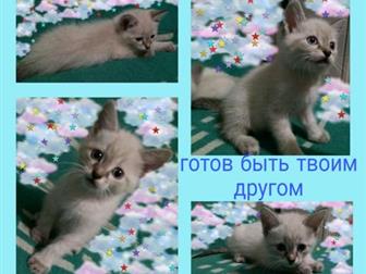    ,   ,    1, 5 ,    ,   ,  , ,  ,  