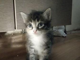    ,   14 ,    ,    ,   ,       ,  