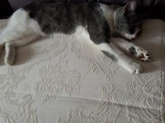   ,    ,  