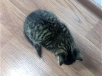     ,  3 ,     ,    ,  ,    ,  , , ,  
