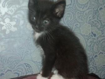  3- ,  ,   !  -,   -   ,    ,    !  