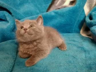  ,  2 ,   !  