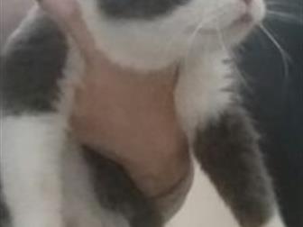        ,     , , ,  ,   ,  