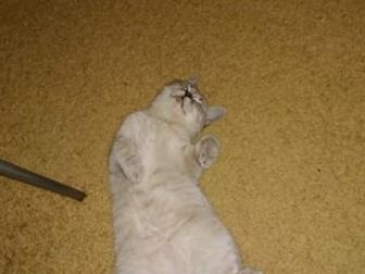  ,   ,   ,    ,   ,    ,     , , ,      