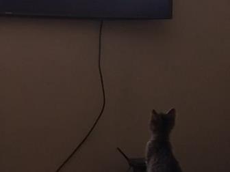  ,    3 ,         ,    ,   ,   - !  !    