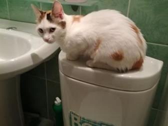      ,  3 ,    ,   ,  ,  ,  ,  