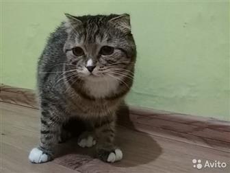     ,   ,   , , , ,,, , ,          !  