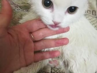     3 !,     , !  