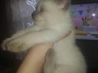        ,   ,      :)  