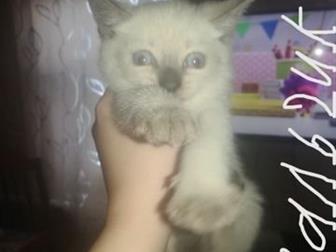        ,   ,      :)  