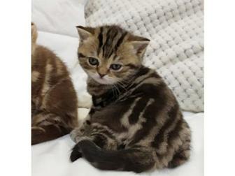   ,  !      ,    , ,  ,    ,  