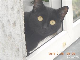    ,     ,  ,  , ,    ,  ,     ,  ,  