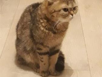     ,  1  9       ,       