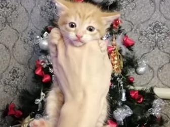  ,  18 ,      ,   
