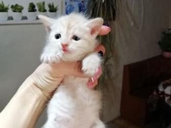  ,  18 ,      ,   