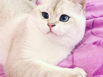  ,      ,          !  