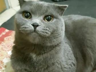  ,   ,    ,  , ,       ,  