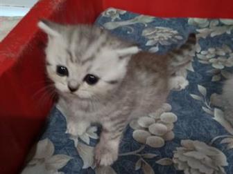   ,     ,   ,   ,             