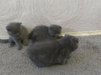 ��� � 2 ������� ����������� ��������� 2 ������, ����� �� �����, ������ ����, � �����