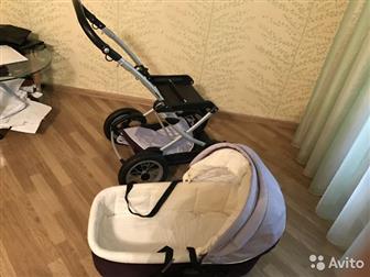     Peg Perego (-    )       ( -)     