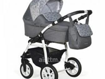  3  1 Indigo Charlotte 18 F -     3  1,        ,    