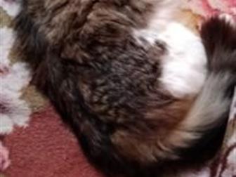      , ,  , , ,  ,   ,  -