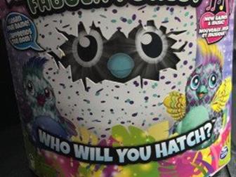 Hatchimals     :   -