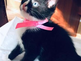  ,      ,            ,      ,        ,   