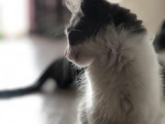   ,   ,   2  ,    ,    ,      ,  