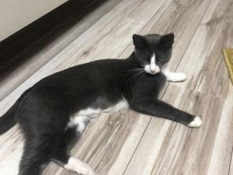      -,     ,   ,     ,   ,      ,  
