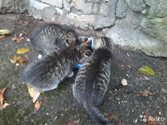      ,  2,5 ,  ,  