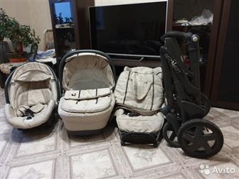  31 NeoNatoSport     ,       (06 ),     ,   