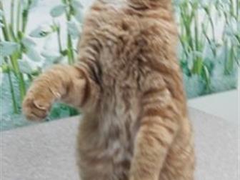        ,   6-7 ,     ,    ,   ,     