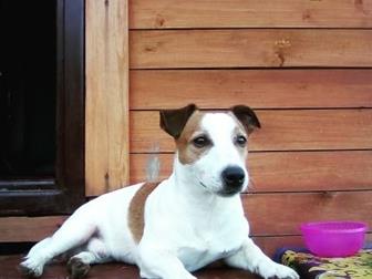    4 ,   , ! !   ,  ! ,     