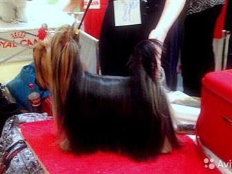     ,     ,  !  ,      ,     