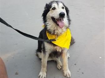      - ,  1, 5 ,  ,       (  )! ,  ,  ,  