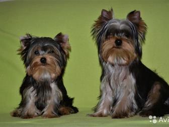     , ,           ,  (   ),5 , -  ,    