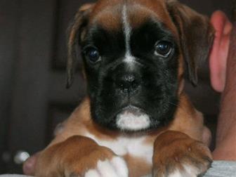      ,     ,  45 ,    ,     ,  