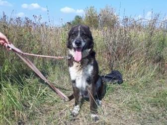    !      ,        ,        ,    